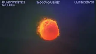 "Moody Orange" - Rainbow Kitten Surprise Live in Denver 2024