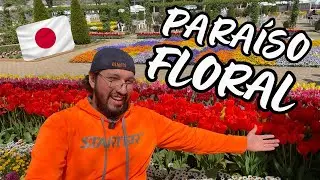 🌸🇯🇵 ¿SAKURAS a UNA HORA de TOKYO? 😦 - Ashikaga Flower Park