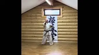 #hanshi #karate #yakunin #kyokushin #kyokushinkarate