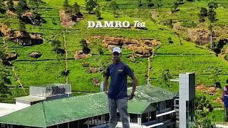 Damro Tea ☕️ Factory 🏭 | Nuwara Eliya | Sri Lanka 🇱🇰 | #hamedsview