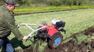 МБ Брайт работа с плугом  Запашка ржи