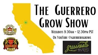 The Guerrero Grow Show!!! Kevin Jodrey