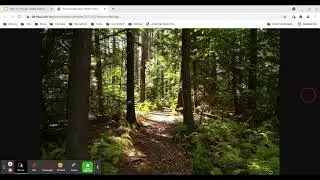 Google Slides: Changing the Background