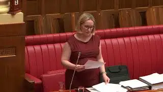 Speech - Police Support and Mental Health Services (Select Committee)