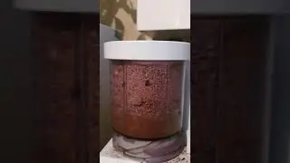 Последние слова арахиса