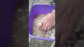 шашлычок