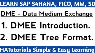 DMEE Introduction and DMEE Tree Format in SAP FICO | DMEE in SAP FICO