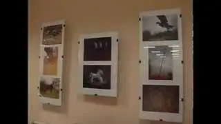 О моей выставке. ТВ5 Запорожье