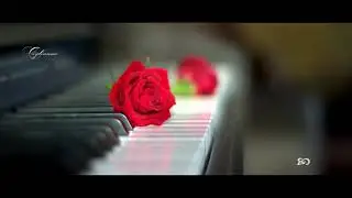 Esta Rosa Va Hasta El Cielo... Para Una Persona Muy Querida. Una Flor Para Otra Flor ❀ ❤️ ❀