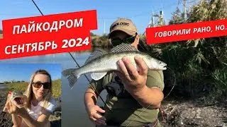 Пайкодром Грибовка. Неожиданно открылись по хищнику, хотя карповый сезон в разгаре ))