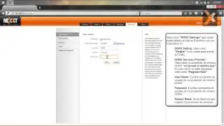 Viking 300: Configuracion de DDNS