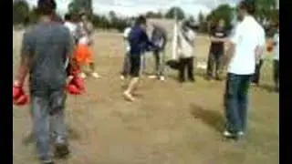 Quynh Vs. Sang