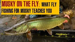 MUSKY ON THE FLY | What FLY FISHING for MUSKY teaches you (5 TAKEAWAYS)