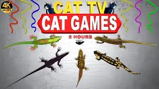 CAT GAMES ULTIMATE LIZARD COMPILATION FOR CATS 🐈‍⬛ CAT TV LIZARD VIDEO FOR FELINE FRIEND 😻
