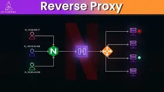 Mastering Reverse Proxies: Real-World Examples