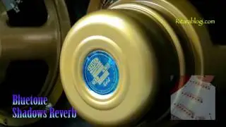 Bluetone Shadows Reverb – Short Distorted Demo +++ Kitarablogi.com