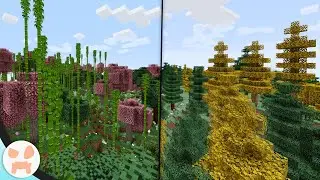 A FULL MINECRAFT BIOME REVAMP!
