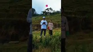 pentingnya guru