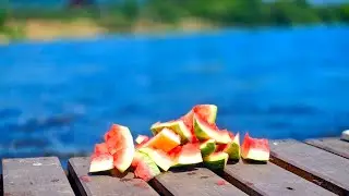 из жизни одного плота