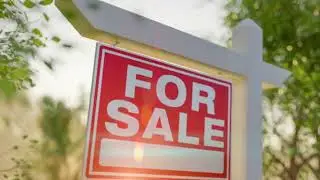 OrdinaryRapper08 - It’s For Sale 🐱