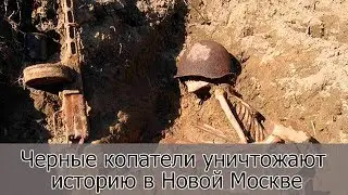 Черные копатели уничтожают историю в Новой Москве