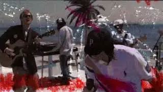 birds of a feather ( mixed media animation)