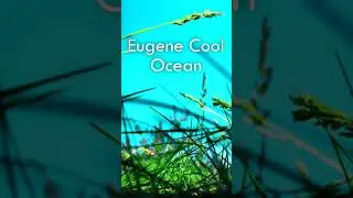 Ocean - Martin Garrix feat. Khalid (Eugenecool’s cover)