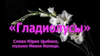 Слова Юрия Цыбина, музыка Ивана Копеца "Гладиолусы".