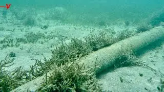 US Officials Say Russia May Target Undersea Communications Cables