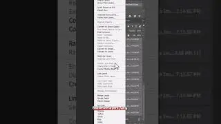 rasterize layers