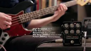 DSM Noisemaker OmniCabSim Deluxe - BASS DEMO