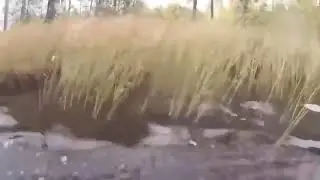 Когда ты истинный рыбак. Случай на рыбалке. #рыбалка #прикол