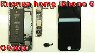 Часть 1 не работает кнопка Home iPhone 6 обзор, замена кнопки хоме, не работает touch id на айфоне 6