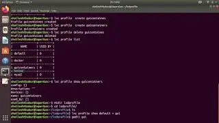 Run Firefox | Gedit or Any Other GUI Application in a Container... ( Linux Containers )