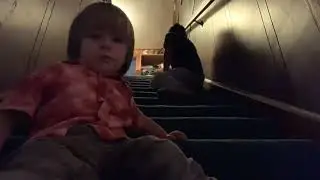 Sweeping stairs Timelapse