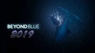 Beyond Blue