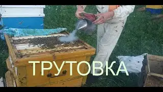 РОЕМ из Ловушки ИСПРАВЛЯЕМ ТРУТОВКУ