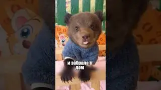 The bear cub came to visit the woman himself 🐻😍 
