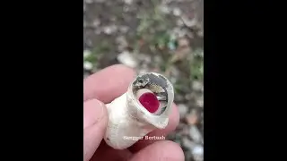 FOSIL PENGLARISAN TARIK PEMBELI