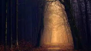 (Fantasy Music 2018) Thomas Hanlon - A Dream Within A Forest (Buy link in description)