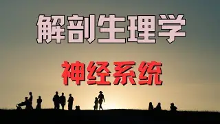 神经系统 NERVOUS SYSTEM