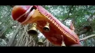 Pooram promo...Shoranur aryankavu temple