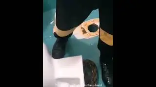 RUPANYA ULAR SAWA NI PUNCA TANDAS TERSUMBAT