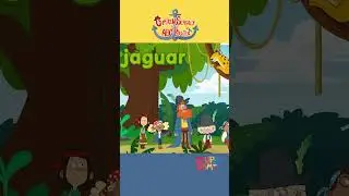 Jaguar catching a nap? Jolly! #abcs #shorts #piratecartoon