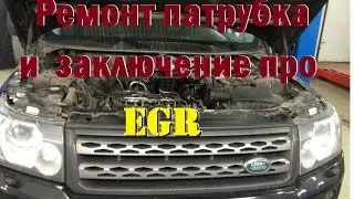 Repair pipe and the conclusion about the EGR