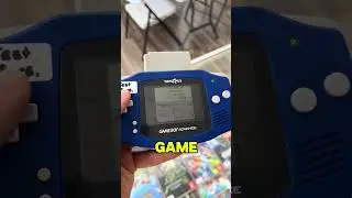 Best Pokémon save file ever
