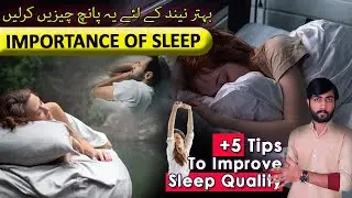 🌙 Master Your Sleep: MK 1.0's 5-Insane Tips Revealed!