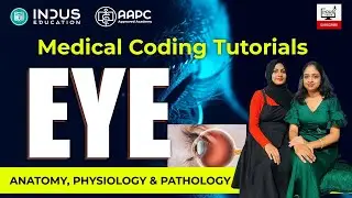 Medical Coding Tutorial - Eye Anatomy, Physiology & Pathology