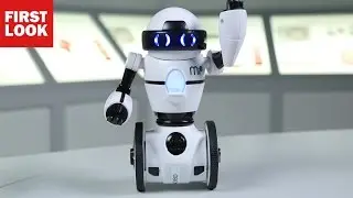 Der kleine MiP-Roboter: Vielleicht sogar mehr als nur ein Spielzeug?