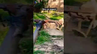 Бегу на 